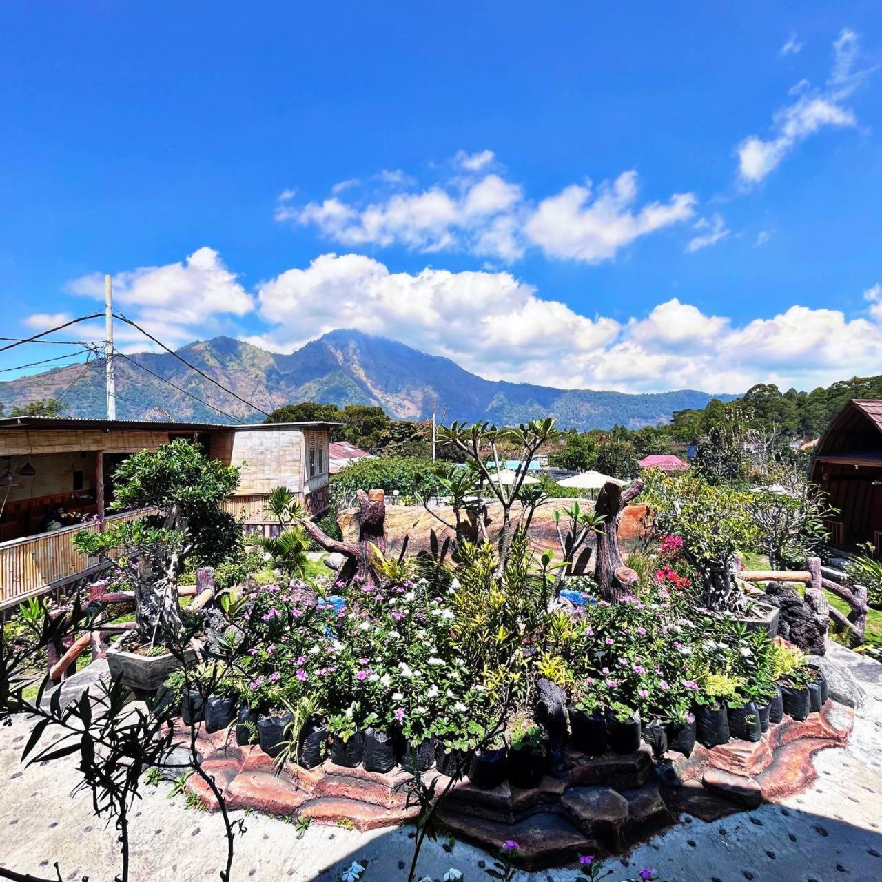 Manik Tirta Cabin'S Kintamani Екстериор снимка